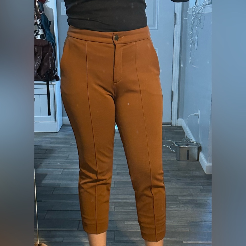 Express Slacks - image 1